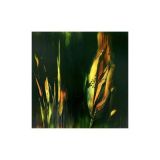 094465C1-F3F2-4A5E-8814-5FA4552F8B241