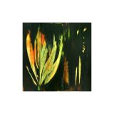 135248FA-8C2F-4AB1-BF73-36DF6B8D8BDA