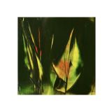 38042EBE-FDCD-490C-A57F-07B6E66AE7D9