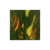 40DE9AD2-3DEF-4335-8BE3-60FDEDD933A2