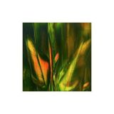 948135A0-D123-45DD-B1F2-9296D1DE0B7F