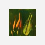 94C91E76-8438-41D9-B96C-2B5A0C455F01