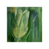 ACF0ACFC-0229-4FE0-ADCE-D14DBD6A70D2